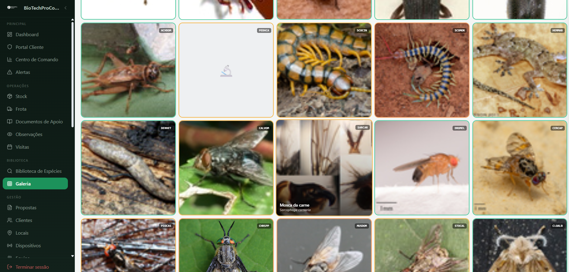 Bio Tech Pro System — Galeria de espécies